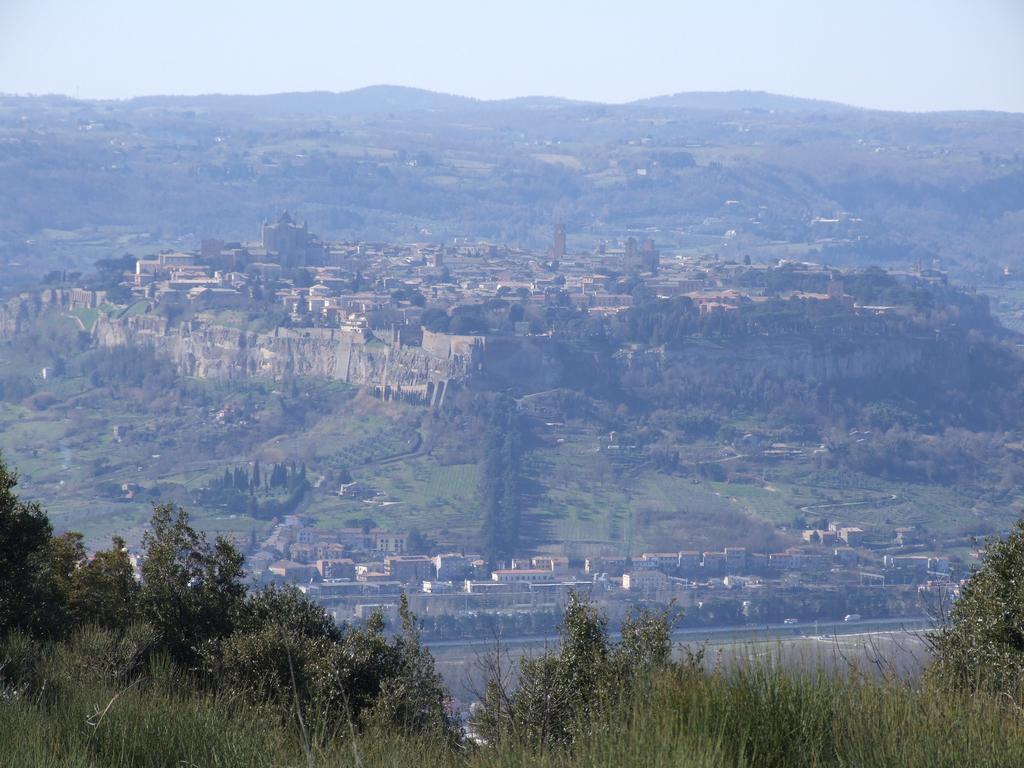 Agriturismo Fattoria Poggio Boalaio Orvieto Eksteriør billede