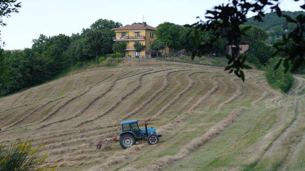 Agriturismo Fattoria Poggio Boalaio Orvieto Eksteriør billede
