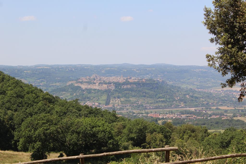 Agriturismo Fattoria Poggio Boalaio Orvieto Eksteriør billede