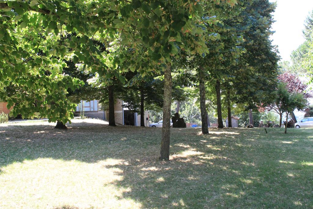Agriturismo Fattoria Poggio Boalaio Orvieto Eksteriør billede