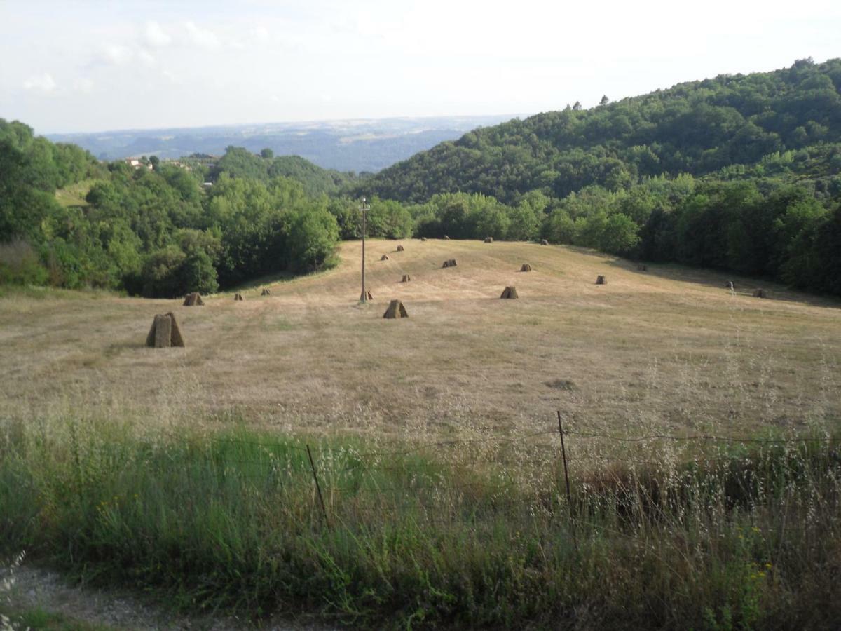 Agriturismo Fattoria Poggio Boalaio Orvieto Eksteriør billede