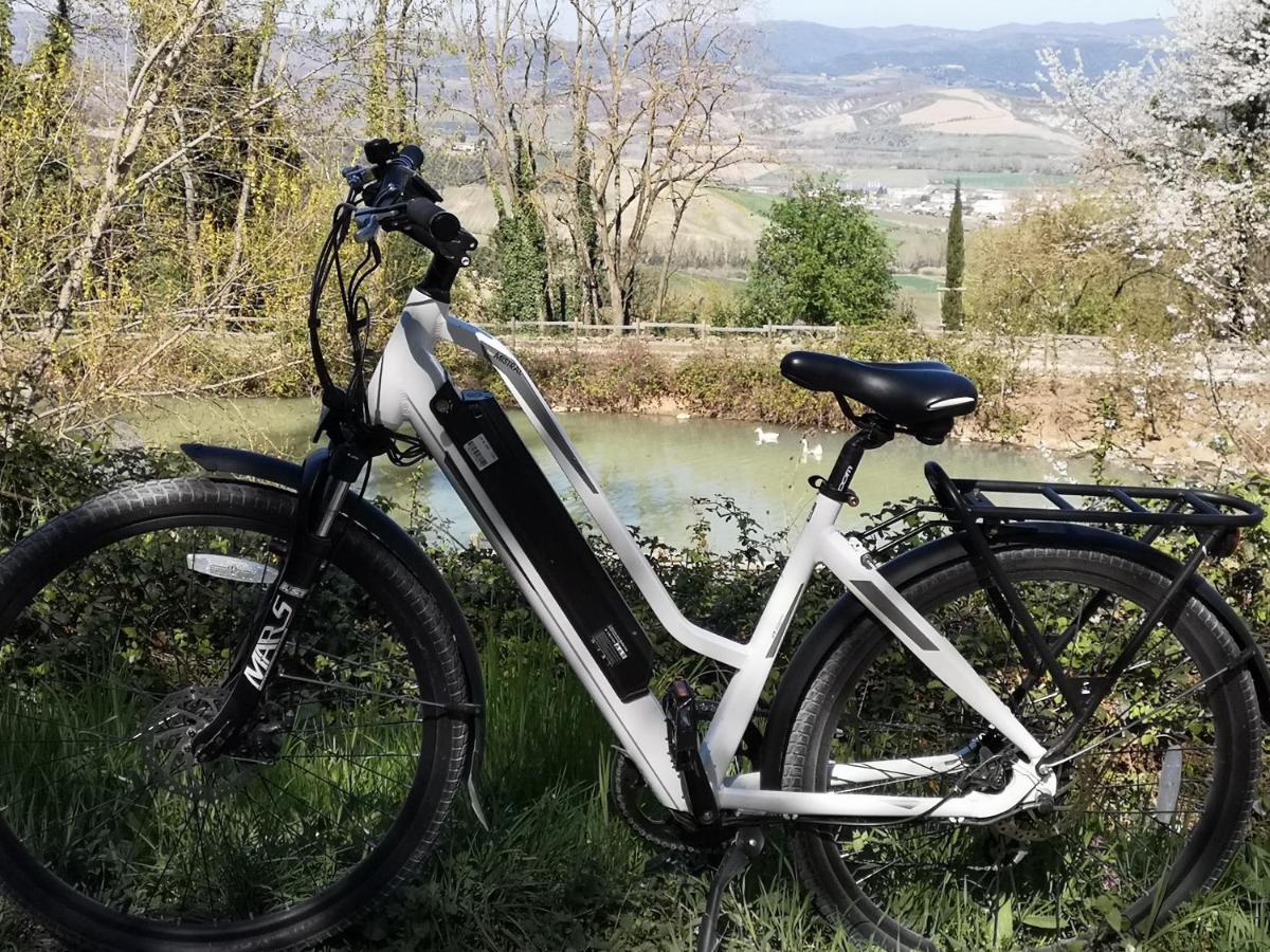 Agriturismo Fattoria Poggio Boalaio Orvieto Eksteriør billede